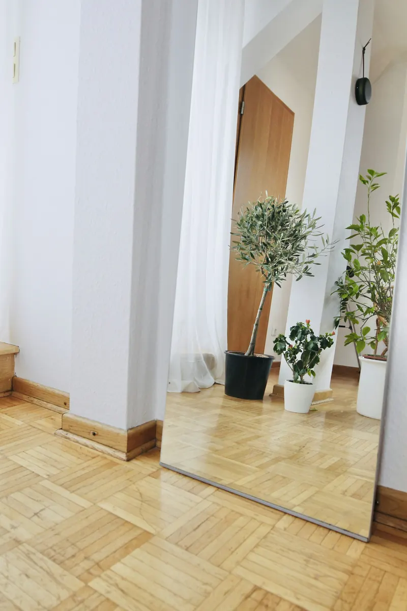 Übungsraum mit Parkettboden, großem Standspiegel, Olivenbaum und Vorhang